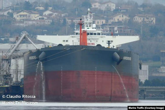 судно под португальским флагом Nordorchid. Это танкер длиной 228 метров и возможностью перевозить более 100 тысяч тонн груза