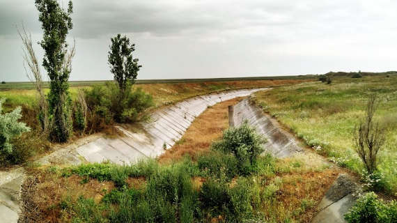 Северо-Крымский канал на территории полуострова к лету 2019 года сильно зарос растительностью и деревьями