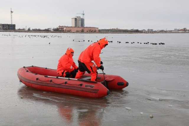 на озере Сасык-Сиваш в лёд вмерзают лебеди