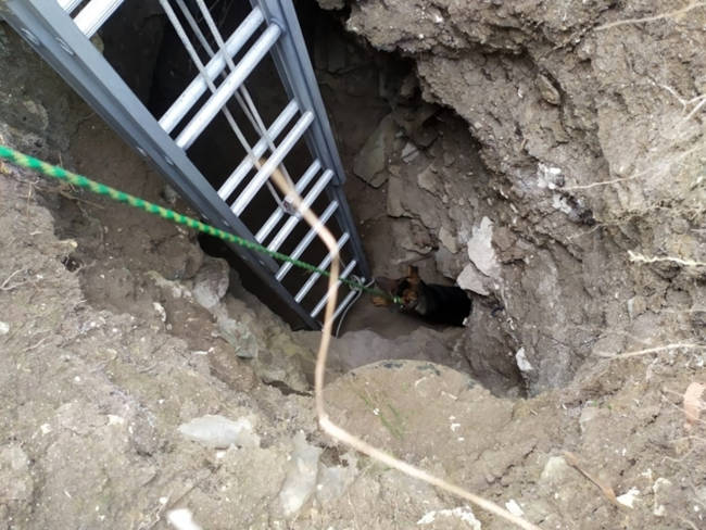 в районе села Аджимушкай Ленинского района необходима помощь спасателей в извлечении собаки, которая провалилось в образовавшийся провал Аджимушкайских каменоломен