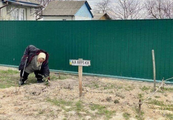 Поиск родных по номерам авто, село Богдановка Киевской области