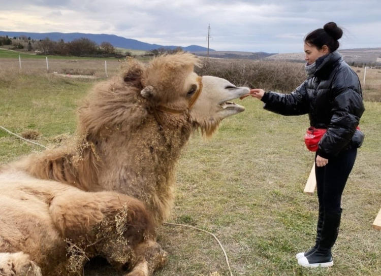 Жительница Севастополя выкупила 15-летнего верблюда по имени Барик