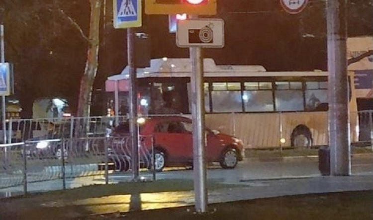 В Севастополе водитель автомобиля Kia Rio сбил пешехода