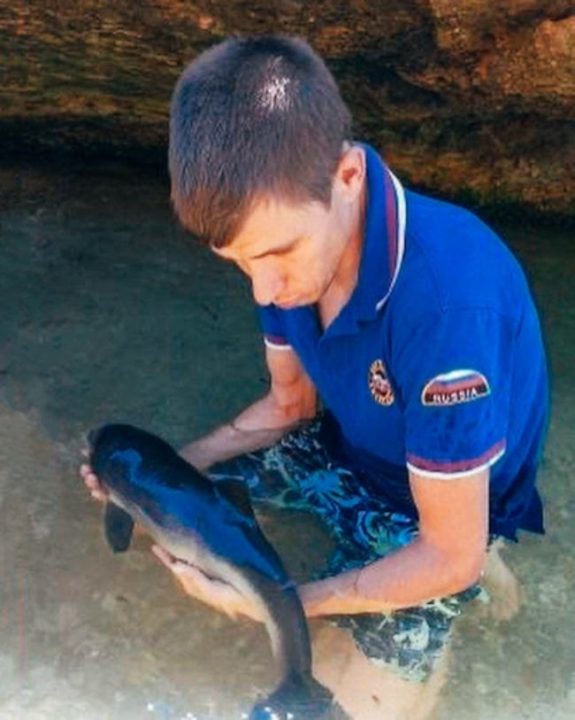Детёныш дельфина спасён под Севастополем, в посёлке Кача