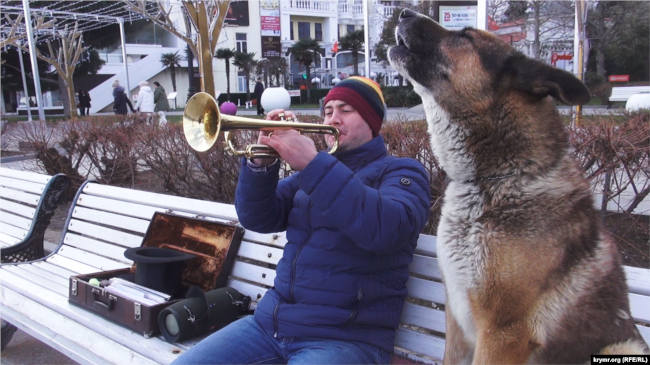 поющие собаки уличного музыканта Виктора Малиновского в Ялте