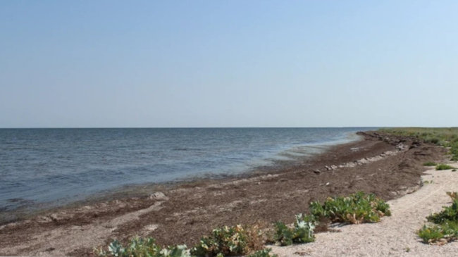 берег Азовского моря