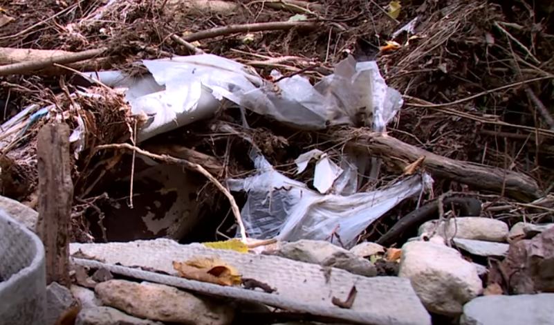 Русло реки Сухой в Гончарном завалено бытовым мусором и ветками после сильных паводков