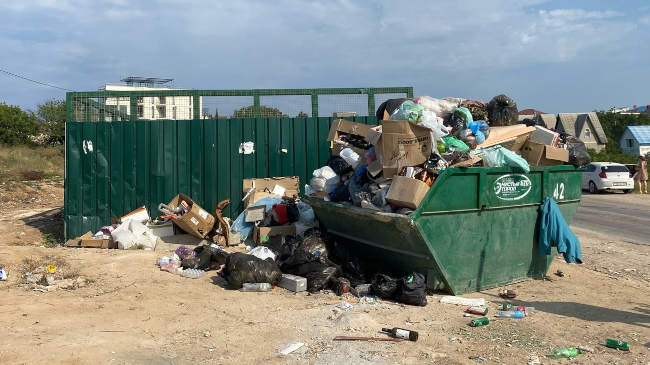 проблемы с мусором и санитарной очисткой города