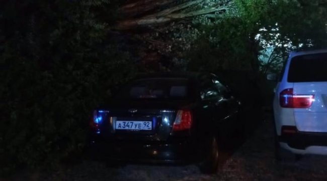 Дерево упало ночью на машины на проспекте Генерала Острякова в Севастополе