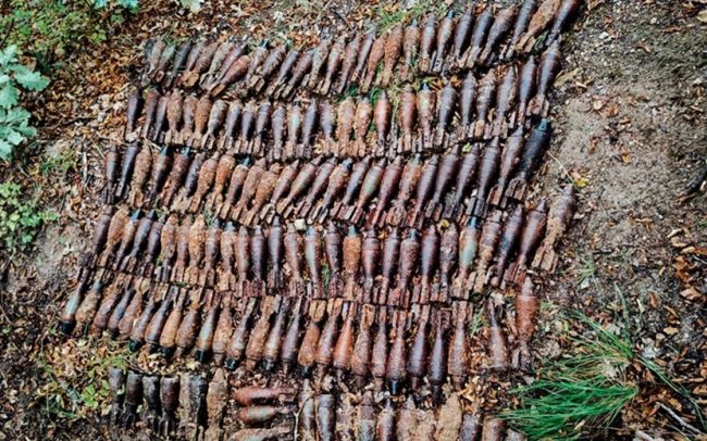 Более 150 мин обнаружено в лесополосе под Севастополем