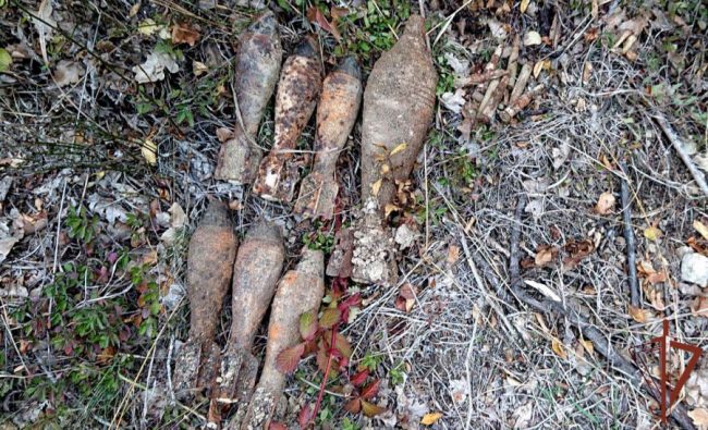 В лесу рядом с поселком Оборонное грибники обнаружили несколько предметов, крайне похожих на мины времён Великой Отечественной