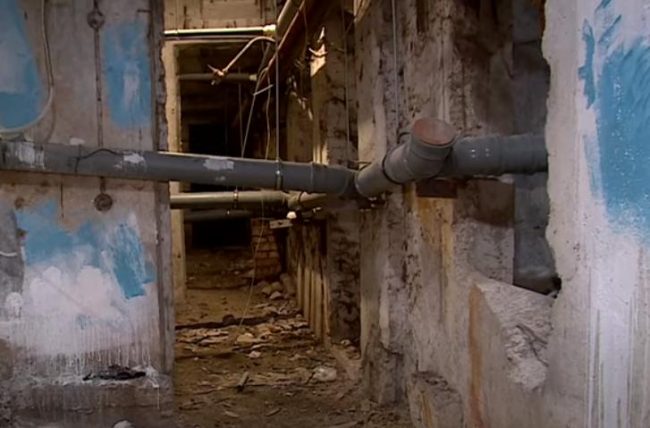 Мертвые птицы и потоп в подвале дома в Севастополе по ул. Колобова