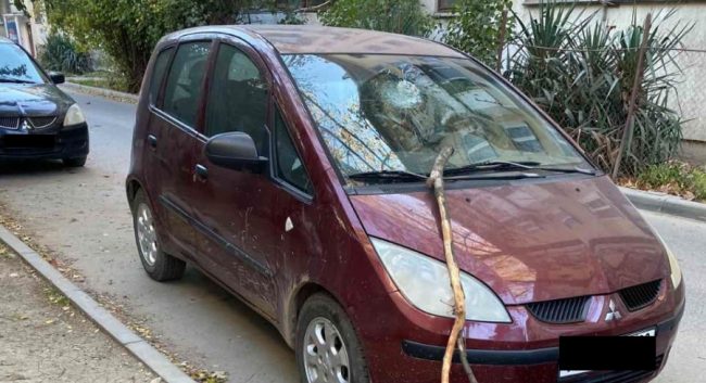 машину жительницы Севастополя пробило упавшей веткой