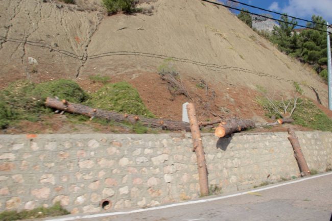 Сотрудники ООО «Севастопольэнерго» провели в районе бухты Ласпи вырубку деревьев