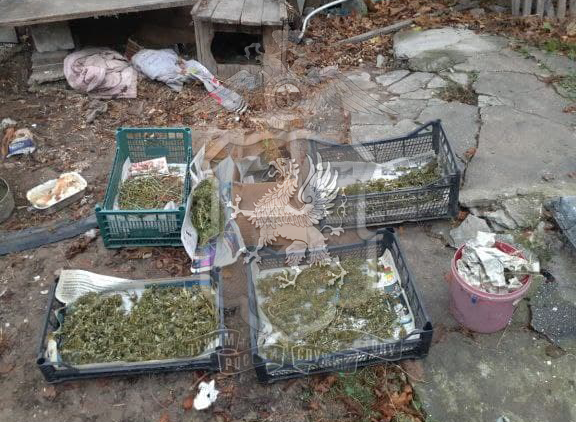 В Балаклаве полицейские изъяли у местного жителя почти два килограмма марихуаны