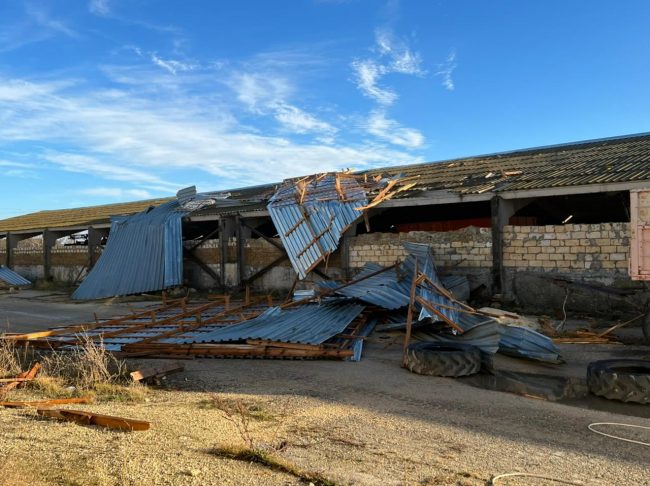 Шквальный ветер, бушевавший в понедельник 29 ноября в Крыму, нанес ущерб сельскохозяйственным предприятиям