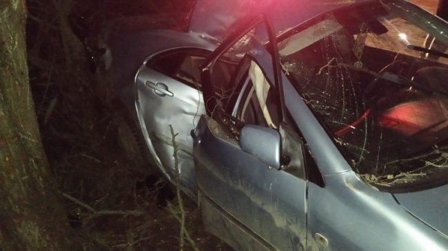 В Крыму 16-летний подросток на мамином автомобиле въехал в дерево