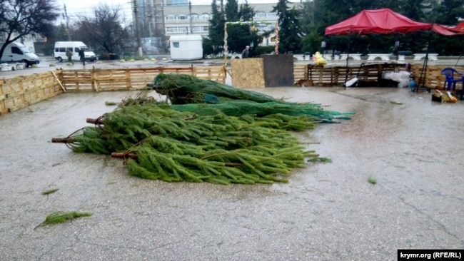 Брошенные елки на площади 50-летия СССР в Севастополе
