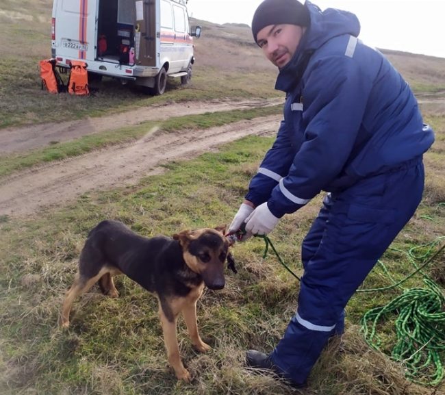 Спасатели вытащили собаку из провала Аджимушкайских каменоломен