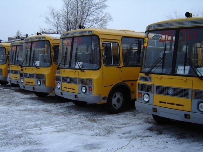 Школьные автобусы не будут работать в Севастополе