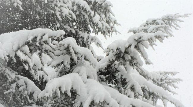 В горах Крыма снег