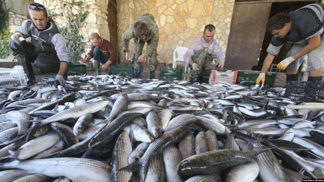 рыболовецкое предприятие в Крыму